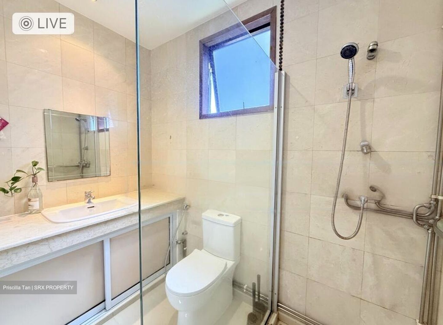 Banyan Condominium (D5), Condominium #452947681